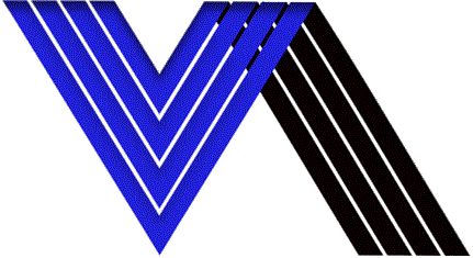 Vivicom Logo